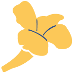loader image
