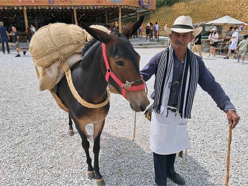 Tour Guatapé y El Peñol - Medellín de Cerca