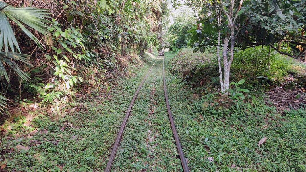 Tour Rafting - Medellín de Cerca